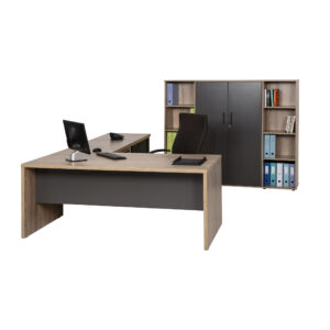 Pronto Managers Workstation